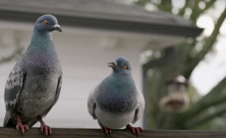 Steve Buscemi Discusses Voicing a Pigeon for DirecTV Campaign